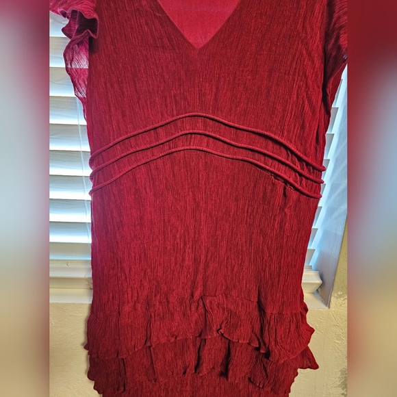 Taylor Burgundy V-Neck Textured Dress - Picture 15 of 15